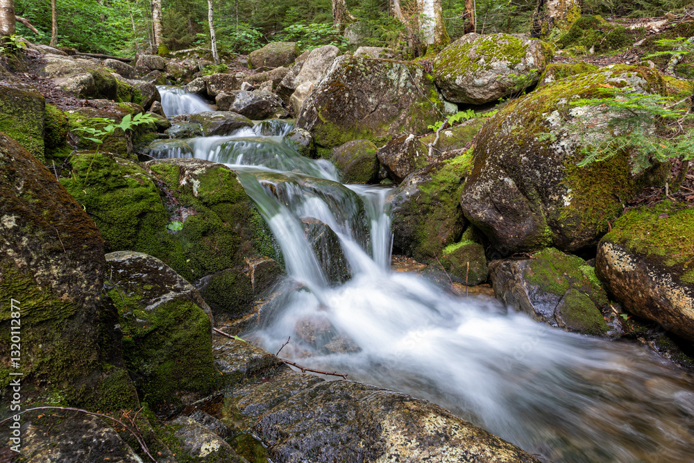 Mount Zeeland Trail in the White Mountains, New Hampshire Mount Zeeland Trail in the White Mountains, New Hampshire
