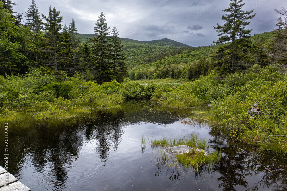Mount Zeeland Trail in the White Mountains, New Hampshire Mount Zeeland Trail in the White Mountains, New Hampshire