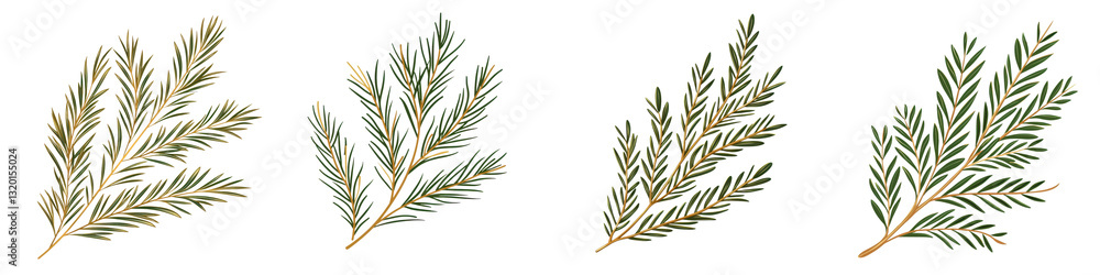 Fototapeta premium Closeup of lush pine tree branches with green needle foliage in a natural seasonal forest setting Perfect for holiday Christmas or winter themed designs backgrounds and decor
