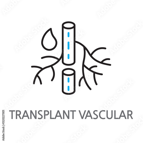 20.TRANSPLANT VASCULAR.eps.Vascular, transplant. Vascular transplant icon. Vascular transplant linear illustration icon on a white background. EPS, PNG, JPG