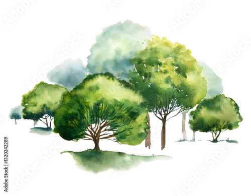 Floating hand-painted watercolor trees isolated on white background