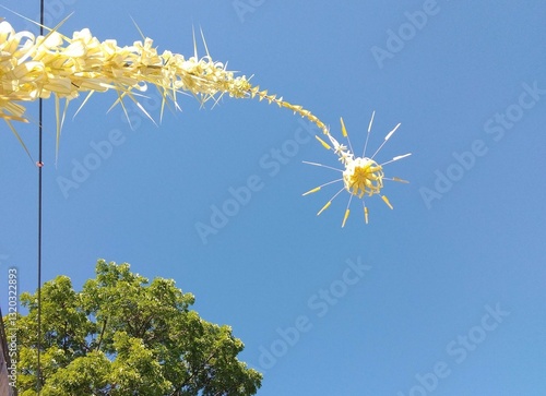 Janur, indicating that there is a wedding party in Central Java, Indonesia