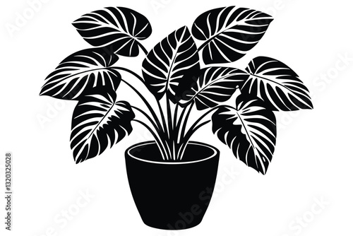 houseplant monstera deliciosa in a pot silhouette