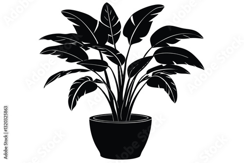houseplant monstera deliciosa in a pot silhouette