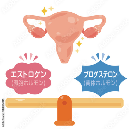 ホルモンバランスが整った子宮のイラスト