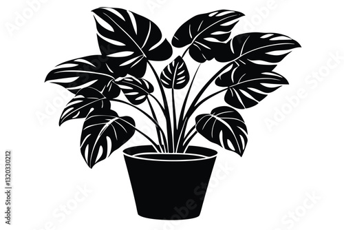 Black silhouette monstera in pot isolated on the white background