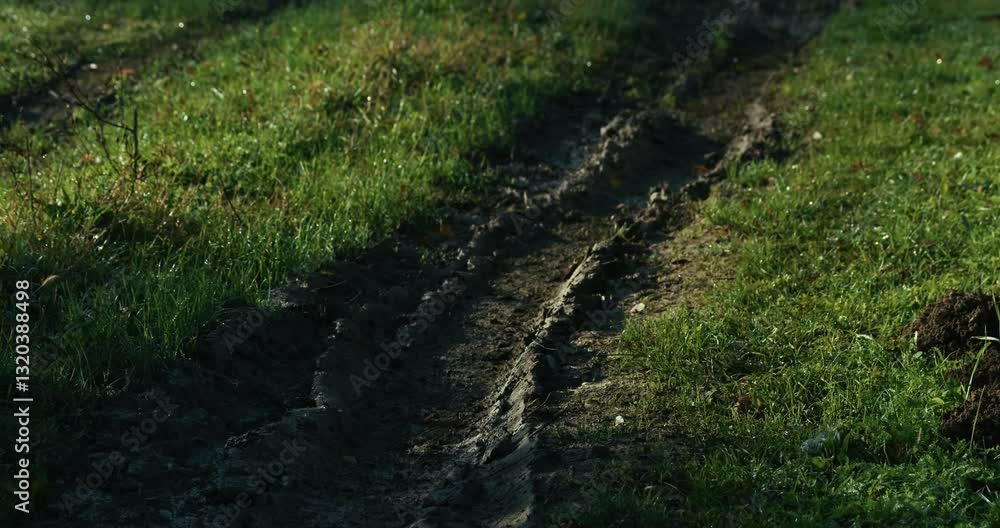 muddy dirt path with deep tire tracks cutting through grass at Lonjsko Polje Krapje muddy dirt path with deep tire tracks cutting through grass at Lonjsko Polje Krapje