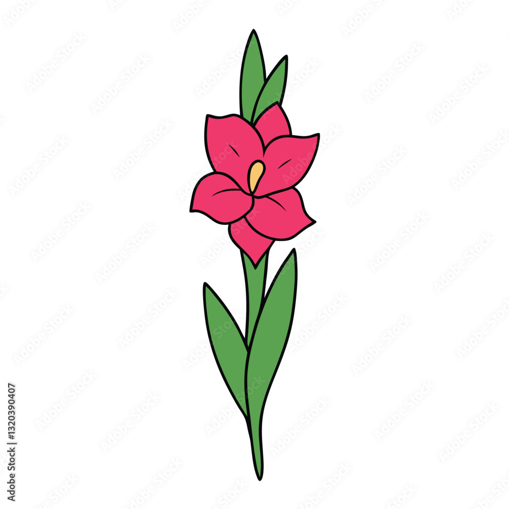 gladiolus flower on a white background. gladiolus flower on a white background.