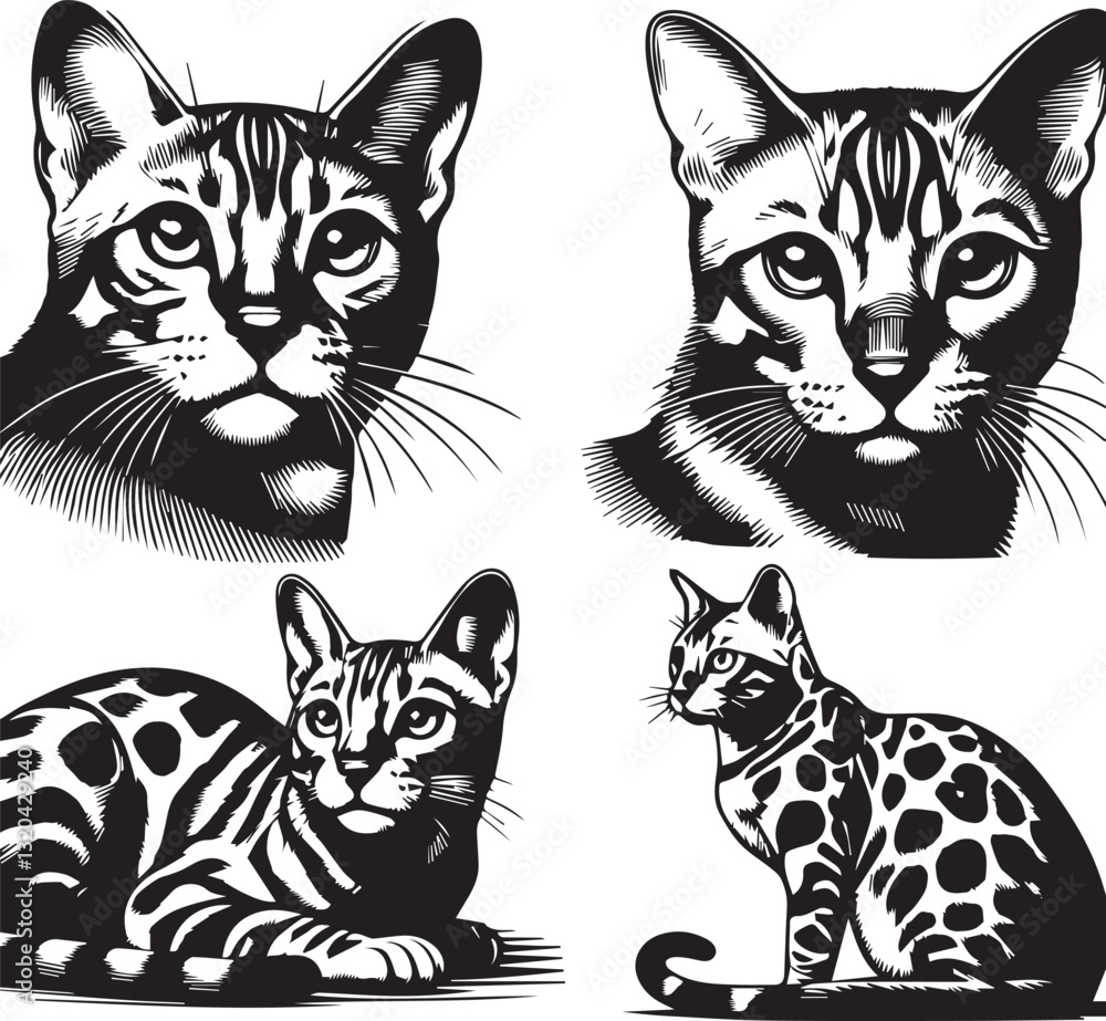 Fototapeta premium Bengal cat vector in black and white