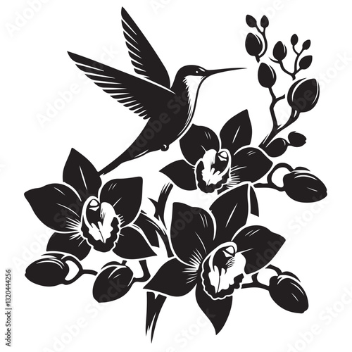 Great Silhouete Hummingbirds Flying around a Orchid Flowers vector illustration Symbol in White Background 22