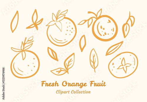 Juicy Orange Graphics Collection Modern Minimalist Style Food Illustration Bundle Juicy Orange Graphics Collection  Perfect for Modern Minimalist Food Illustration Bundle