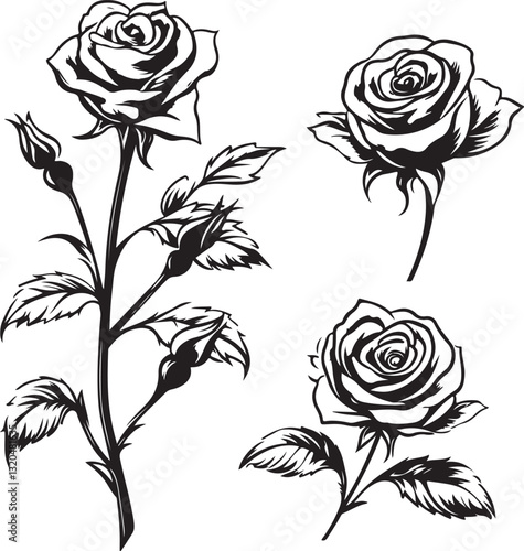 Wallpaper Mural Elegant Black & White Rose Illustrations Torontodigital.ca