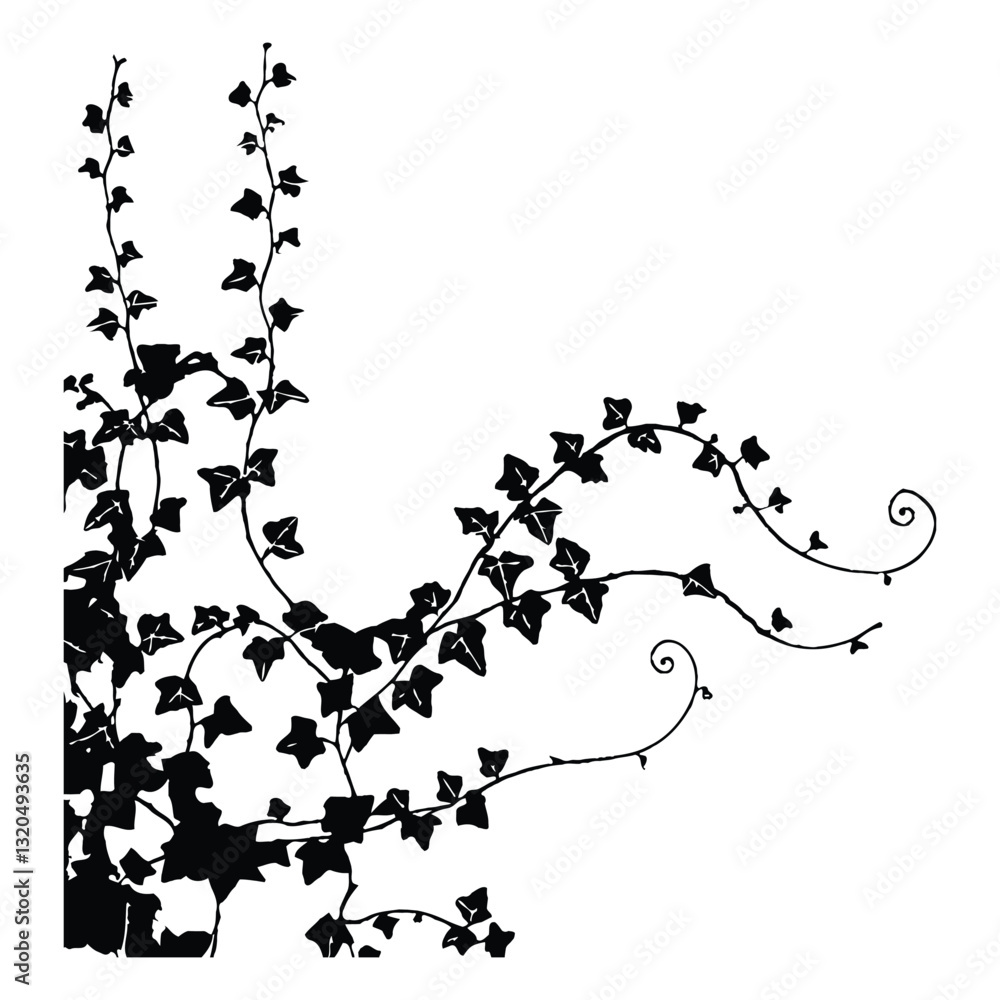 Naklejka premium Ivy climbing a wall Silhouette, Vector, Icon, Logo, White Background.