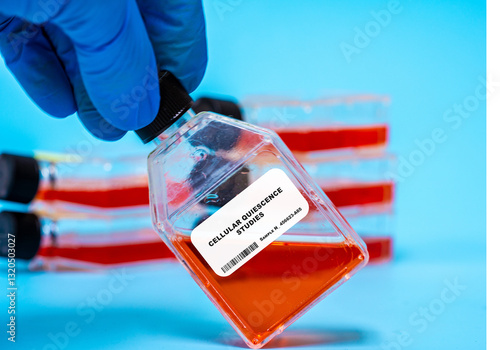 фотографія Cellular Quiescence Studies Exploring the mechanisms that