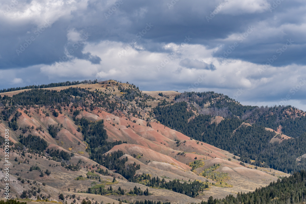 Forest Rd, Kelly, Wyoming. The Chugwater Formation is a mapped bedrock unit consisting primarily of red sandstone, siltstone, shale,Alcova Limestone. Red Hills Ranch
Forest Rd, Kelly, Wyoming. The Chugwater Formation is a mapped bedrock unit consisting primarily of red sandstone, siltstone, shale,Alcova Limestone. Red Hills Ranch