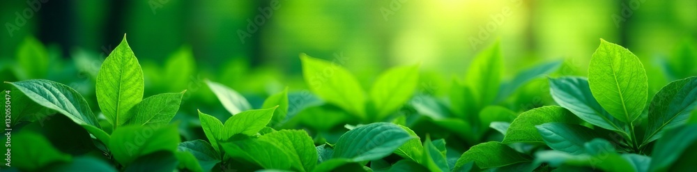 Lush green leaves creating a stunning nature panorama, vibrant, fresh, leaves Lush green leaves creating a stunning nature panorama, vibrant, fresh, leaves
