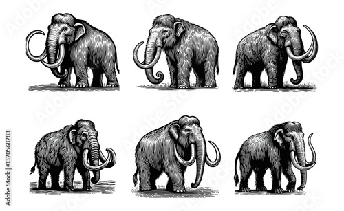 mammoth engraved logo icon design illustration