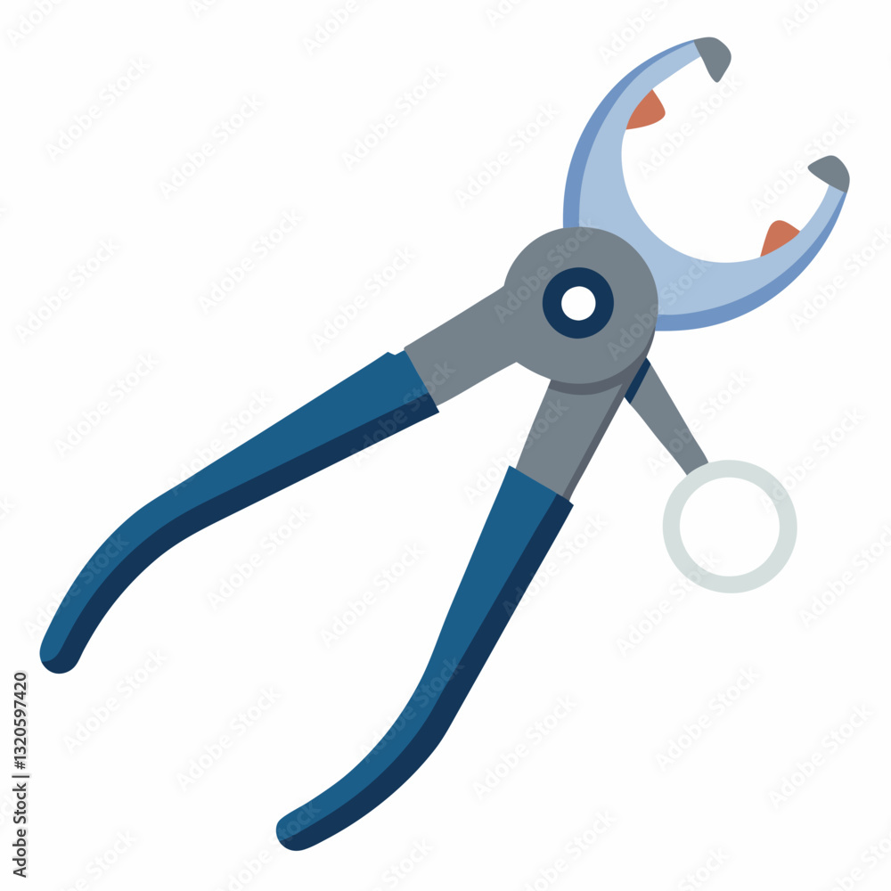 surgical forceps with a locking mechanism surgical forceps with a locking mechanism