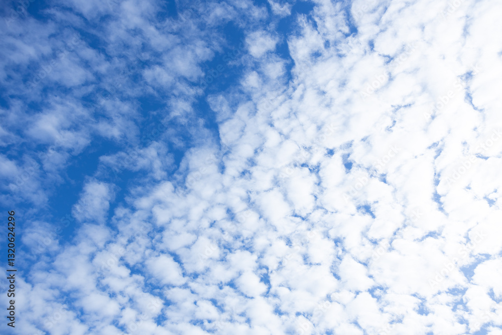 Beautiful Dense Cloud Formation in Clear Blue Sky Beautiful Dense Cloud Formation in Clear Blue Sky