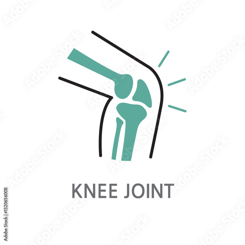 23.KNEE JOINT.Bone, joint, knee bone icon. Edible bone, joint, knee bone line illustration icon on white background. EPS, PNG, JPG