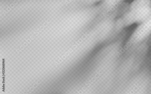 Abstract shadow overlay from foliage on a transparent background.