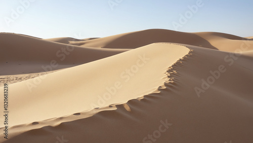 Fototapeta Naklejka Na Ścianę i Meble -  Sand dunes, with their undulating forms, play of light and shadow, and sense of escape and natural beauty 