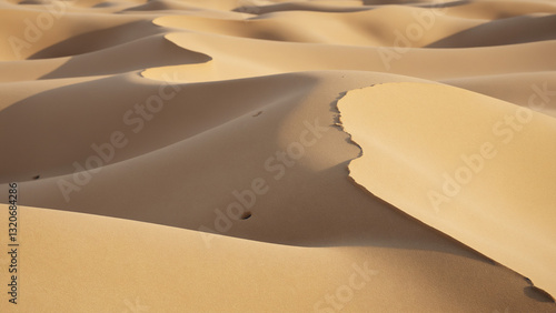 Fototapeta Naklejka Na Ścianę i Meble -  Sand dunes, with their undulating forms, play of light and shadow, and sense of escape and natural beauty 
