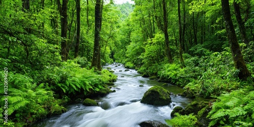 Ecological impact wildlife management concept. Lush forest with a flowing stream surrounded by greenery.