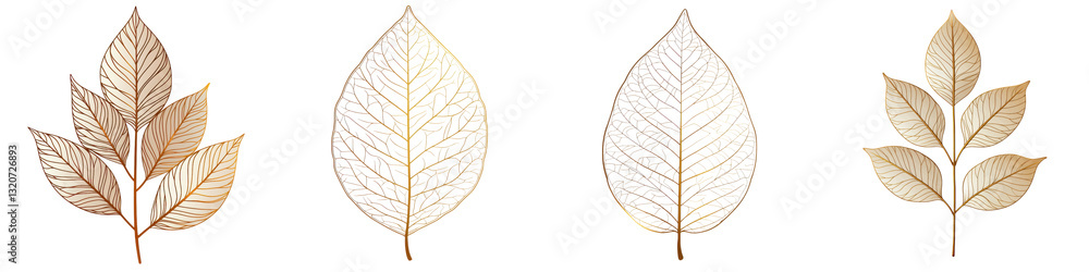 Elegant and natural autumn leaves botanical design patterns in vintage and minimalist style Detailed organic foliage with various colors and textures Elegant and natural autumn leaves botanical design patterns in vintage and minimalist style Detailed organic foliage with various colors and textures