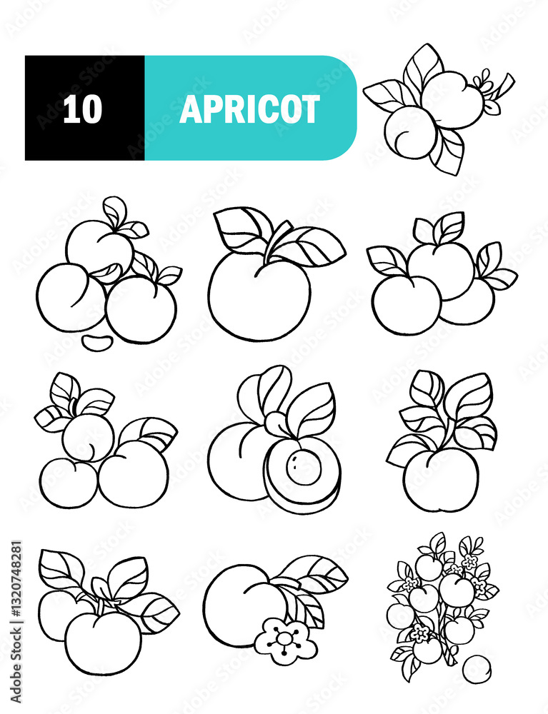 Set of Apricots illustration, harvest Apricots with leaf isolated on white background, fresh fruit, Apricots tree branch
Set of Apricots illustration, harvest Apricots with leaf isolated on white background, fresh fruit, Apricots tree branch