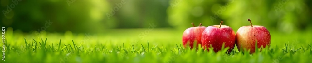 Juicy organic apples on lush green summer grass, summer, natural, apples Juicy organic apples on lush green summer grass, summer, natural, apples