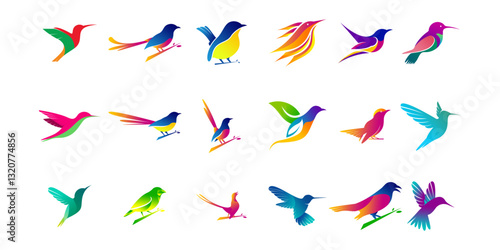 collection of small bird vector design logos