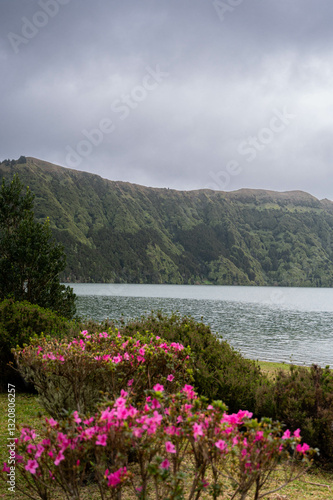 Sunny Day at blue lush lake on island