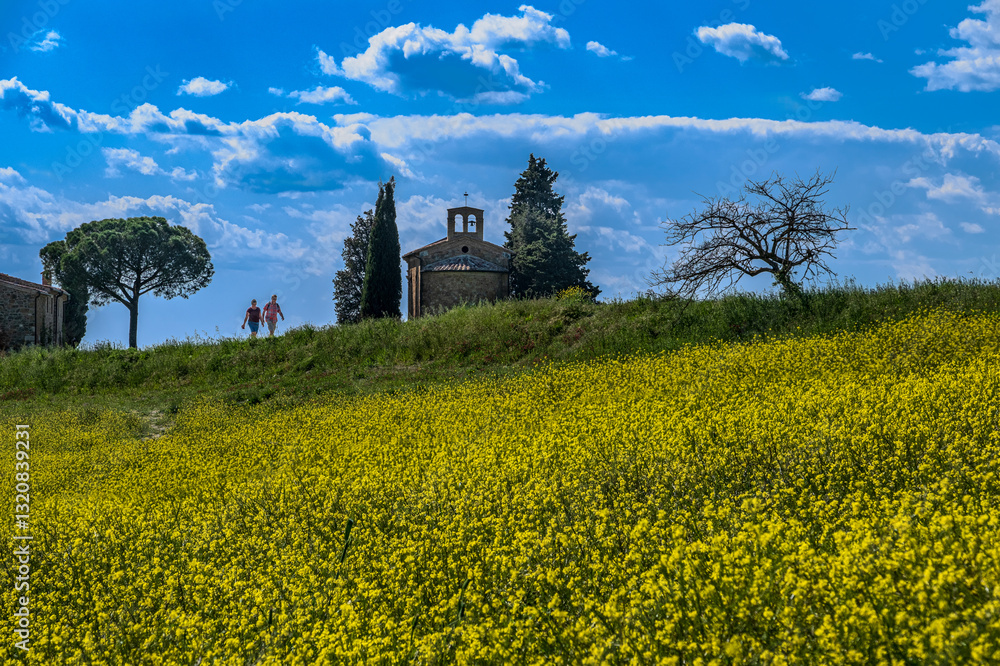 Obraz premium Panorama in val d'Orcia