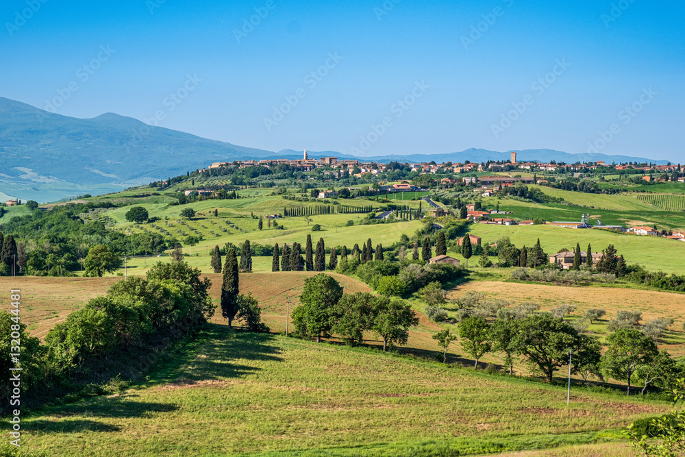Fototapeta premium Panorama toscano in Val d'Orcia