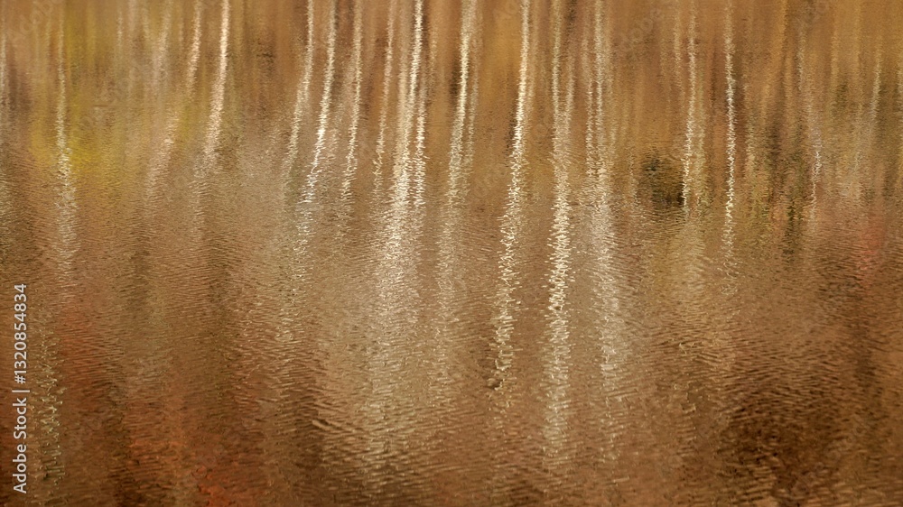 Winter tree landscape reflected in lake