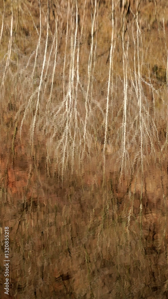 Winter tree landscape reflected in lake