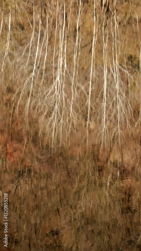 Obraz na płótnie Winter tree landscape reflected in lake w salonie