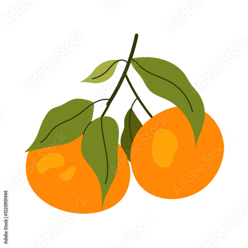 Citrus orange fruit. Ripe tangerine on twig. Aromatic sweet tangerine with green leaves. Flat illustration on white background.