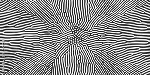 Abstract pattern background. Organic halftone background. Vector organic pattern of line and dots maze and irregular cells on black white zebra background