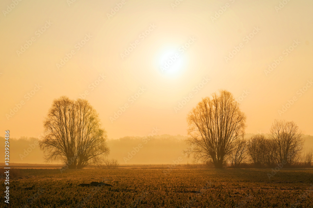 Winter sunrise in the French Gâtinais Regional Nature Park.. Saint-Martin-en-Bière village Winter sunrise in the French Gâtinais Regional Nature Park.. Saint-Martin-en-Bière village