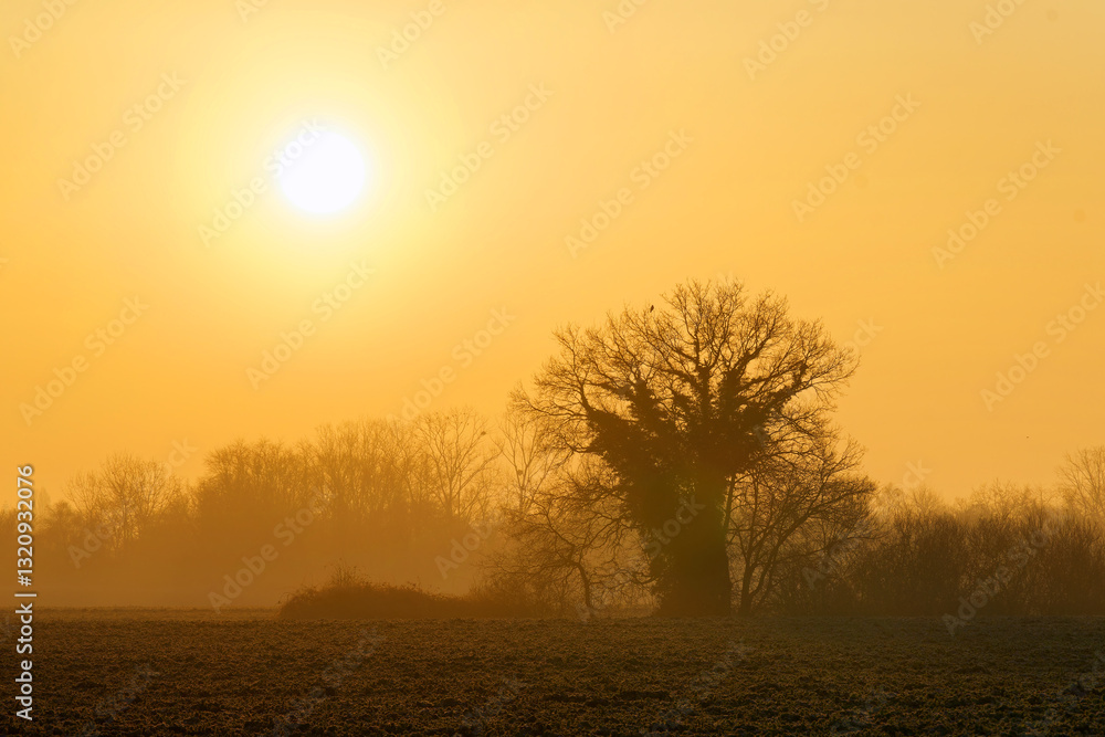 Φωτογραφία Winter sunrise in the French Gâtinais Regional Nature Park