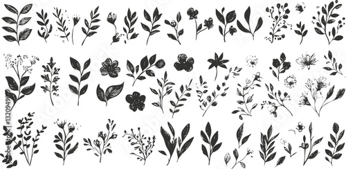 Collection of black and white floral illustrations with various leaves and flowers.