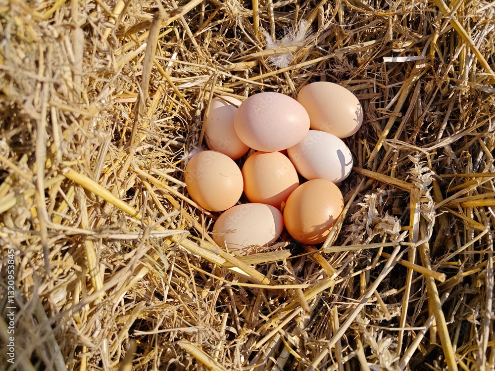 Rustic Nest Filled with Farm Fresh Brown Eggs. Rustic Nest Filled with Farm Fresh Brown Eggs.