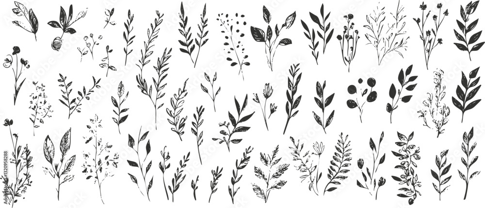 Hand-drawn botanical sketches of various plants and leaves in black and white. Hand-drawn botanical sketches of various plants and leaves in black and white.