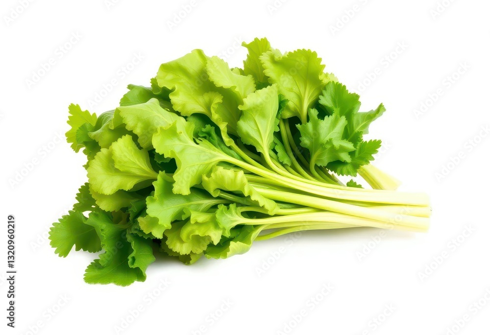 A vibrant, fresh vegetable, perfectly isolated against a pure white backdrop, edible, fruit A vibrant, fresh vegetable, perfectly isolated against a pure white backdrop, edible, fruit