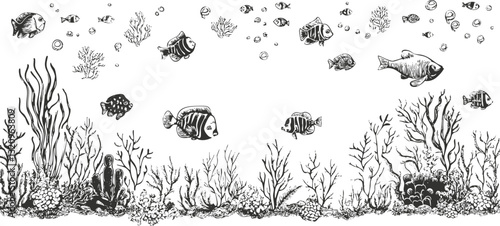 Black and white illustration of underwater scene with coral and fish.