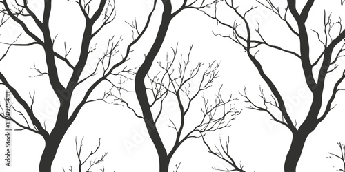 Silhouette of leafless tree branches creating a striking black and white pattern.