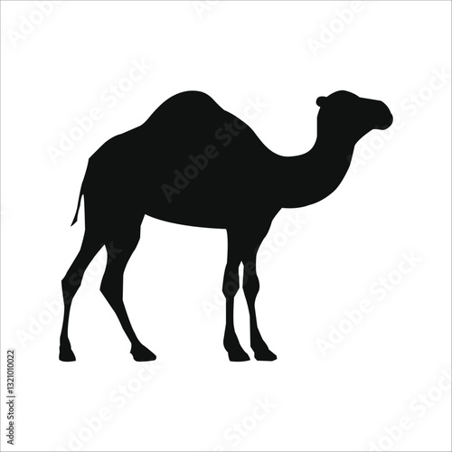 Elegant Silhouette Vector Design of a Dromedary Camel Standing with Grace and Facing Right.