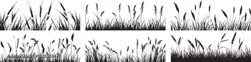 Grass Silhouettes: Vector Set of Six Borders on White Background